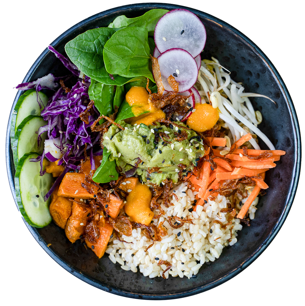 Buddha bowl with rice, purple cabbage, radish and guacamole