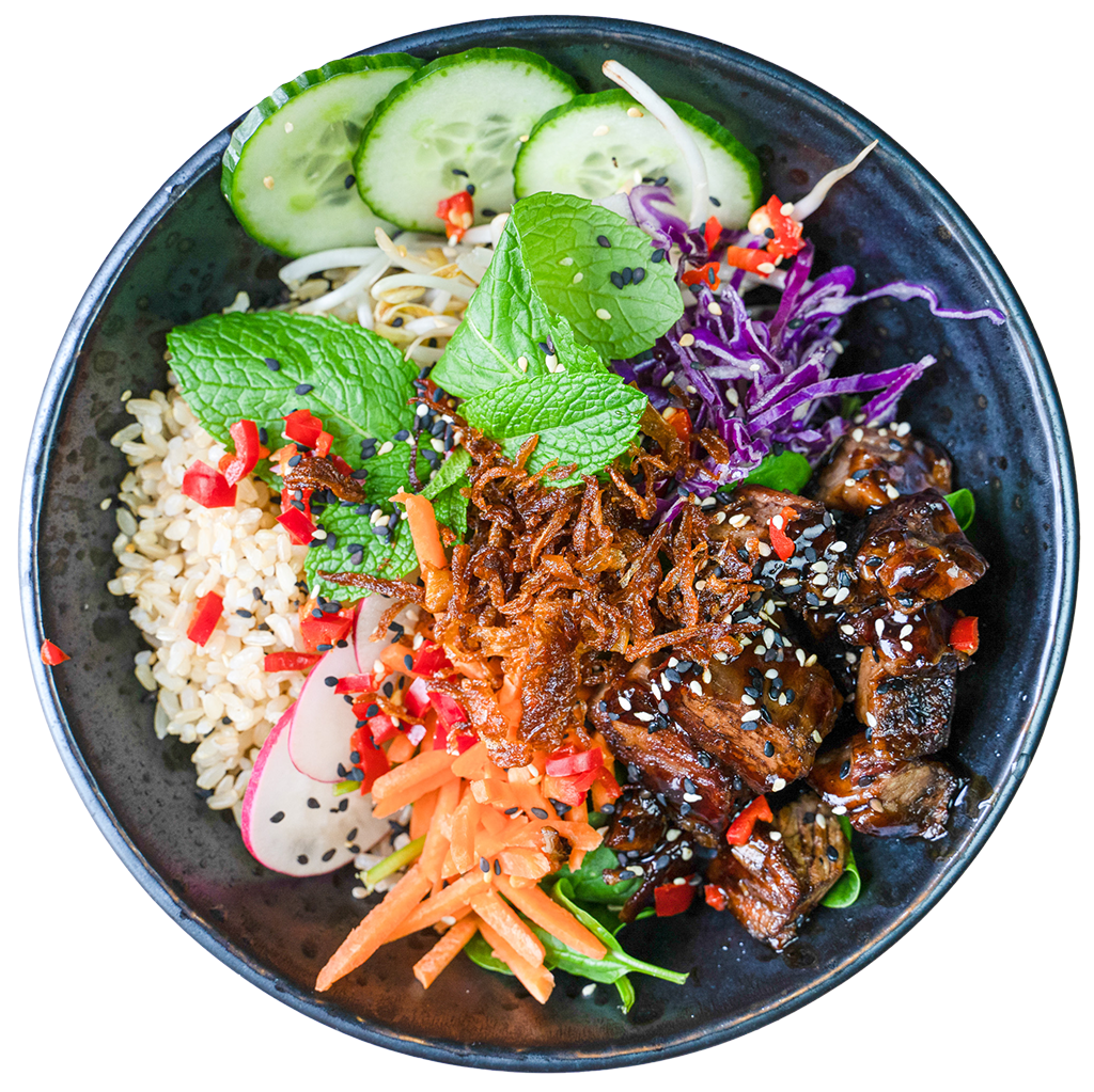 Chinese beef bowl with rice, cucumber and shredded beef
