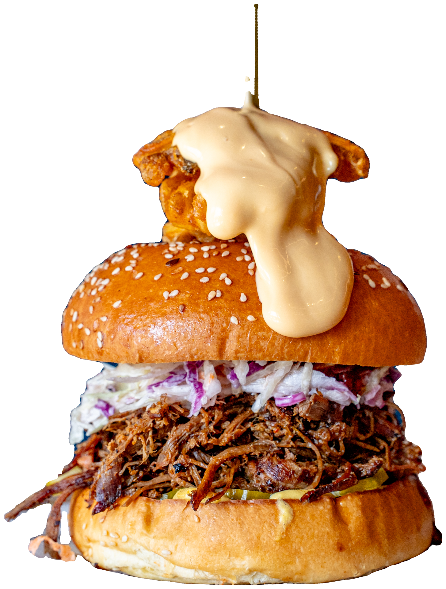 Pulled Birria Burger