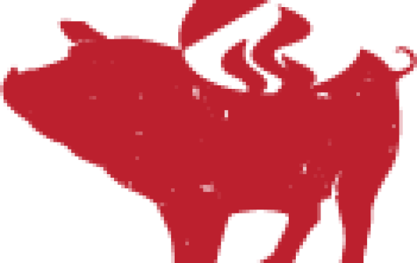Redesign_Pig