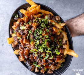 Brisket loaded fries with spring onion, held up on a plate